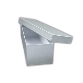 Χειροποίητο Χάρτινο Κουτί, Ασημί, 32*9,5*8cm